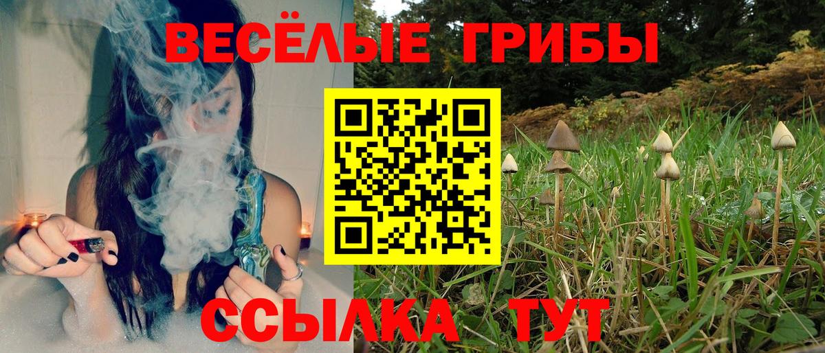 Елец  Псилоцибиновые грибы GOLDEN TEACHER  Галлюциногенные грибы Psilocybine cubensis  купить закладку  Вход с VPN 
